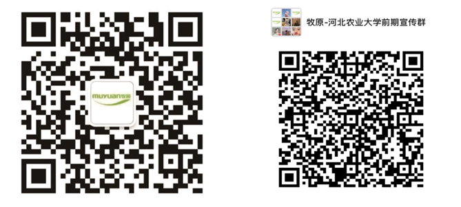 无标题.png