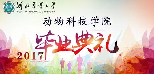 QQ图片20170626190502.png