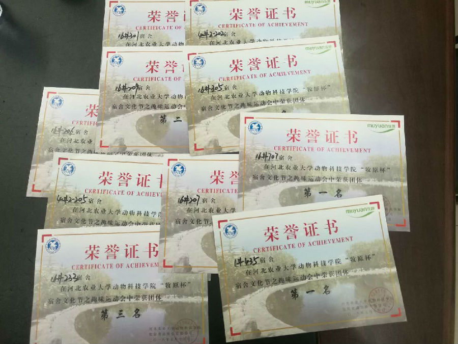 趣味运动会.jpg