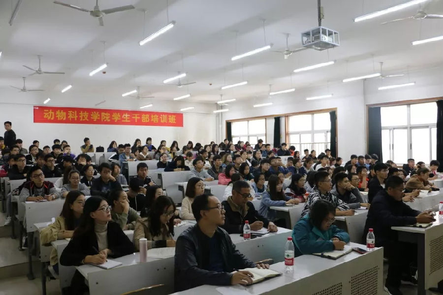 图片1555.png