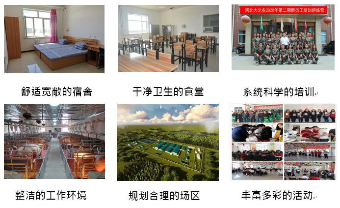 无标题.png