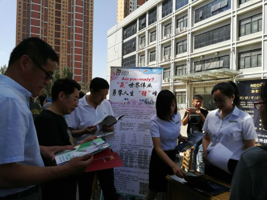 双选会4.jpg
