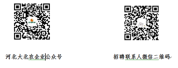 无标题.png
