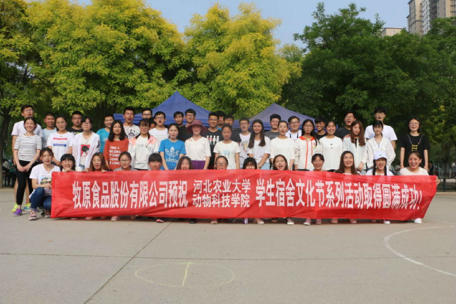 趣味运动会8.jpg