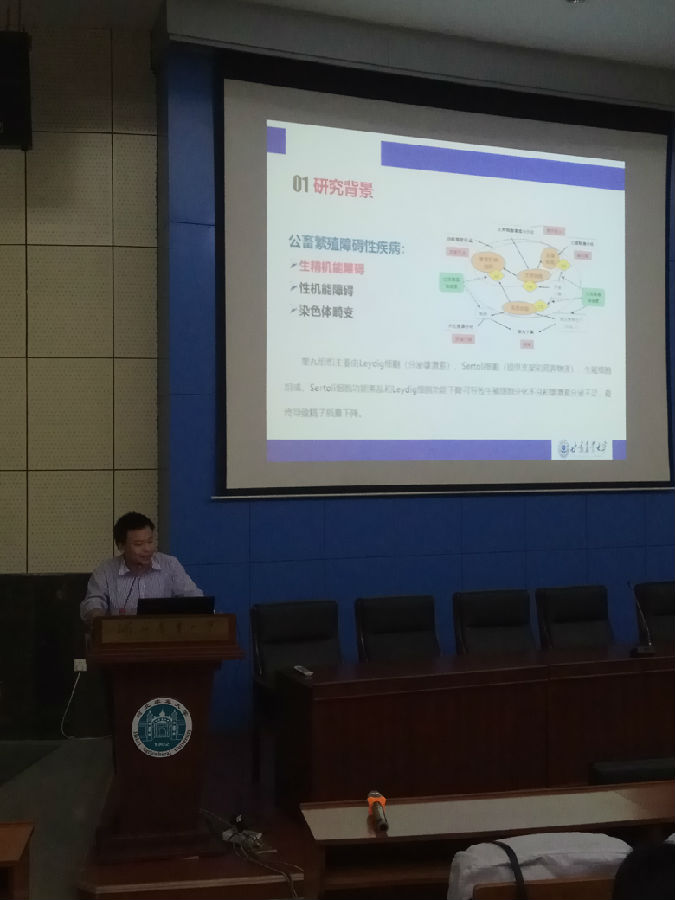 学术报告3.jpg