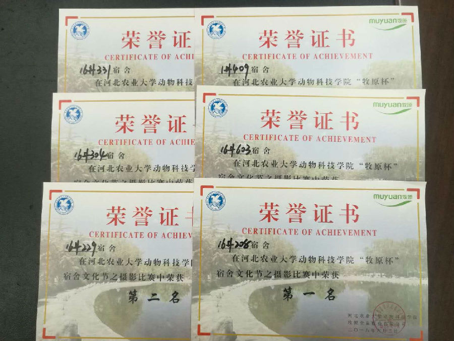 摄影.jpg