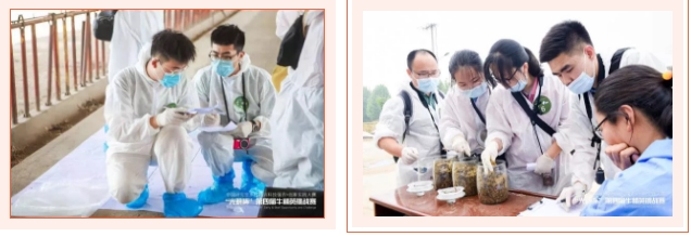 360桌面截图20210526170424.jpg