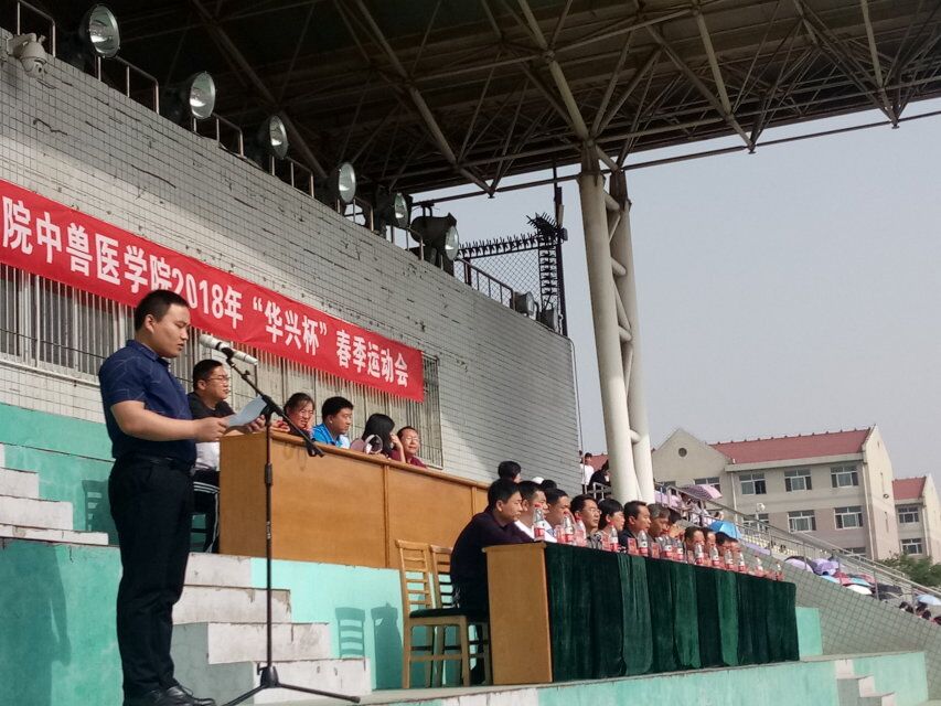 运动会4.jpg