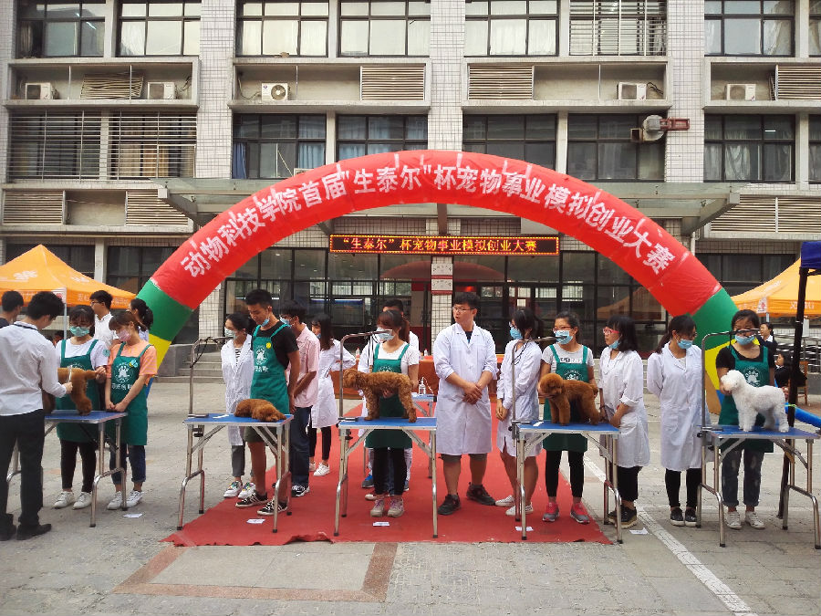 成果展示.jpg