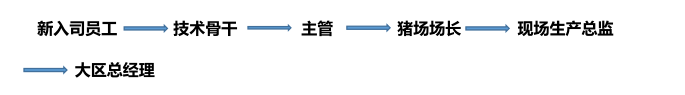 无标题.png