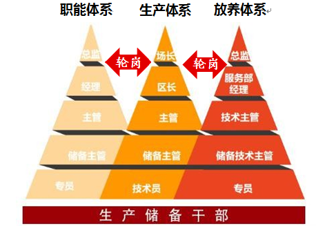 无标题.png