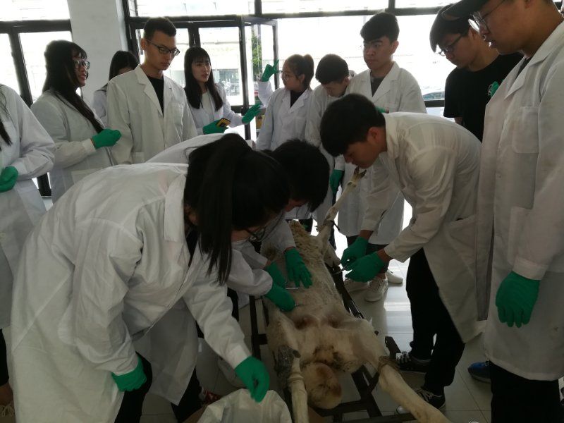 繁殖实习1.jpg