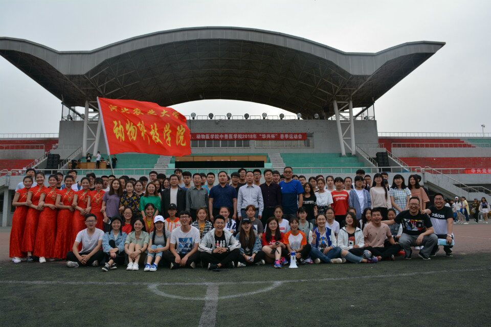 运动会6.jpg