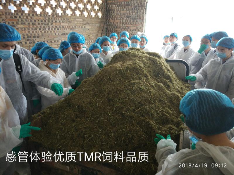 草业实习20180424105513.jpg