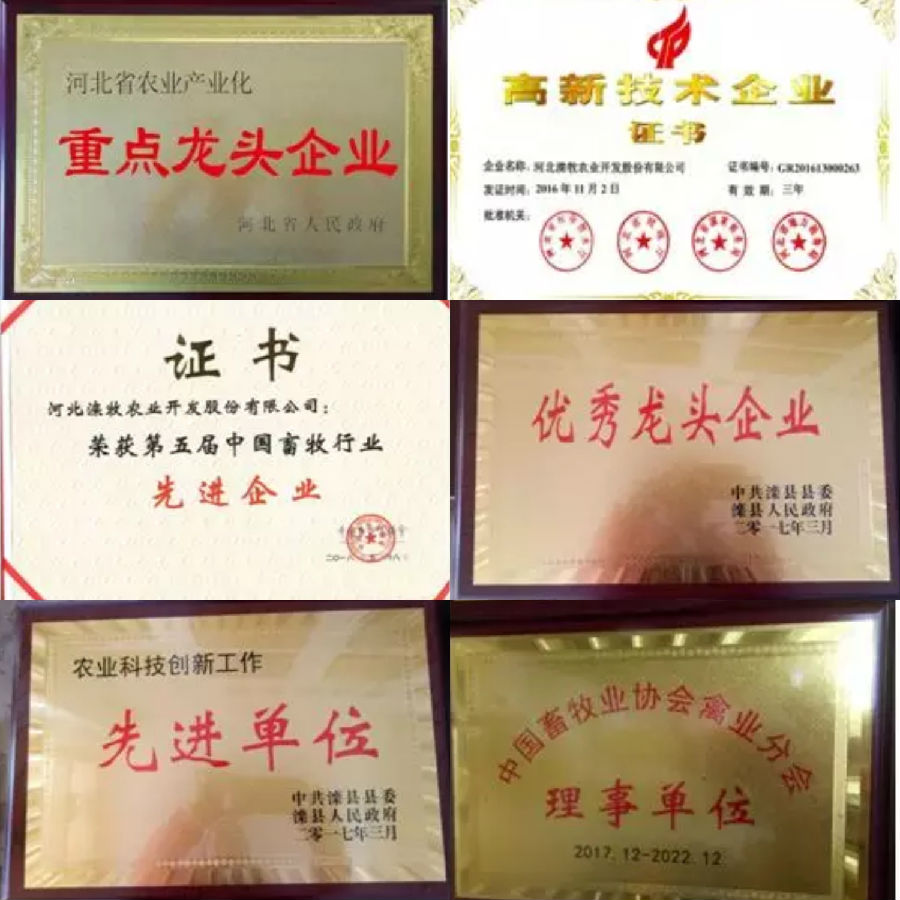 正式.jpg