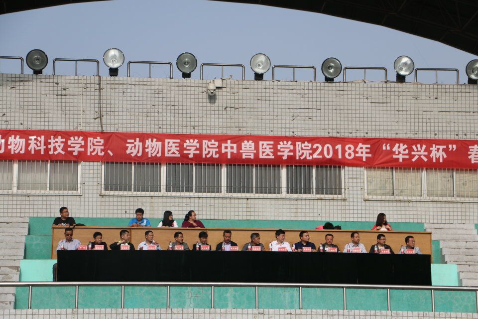 运动会8.jpg
