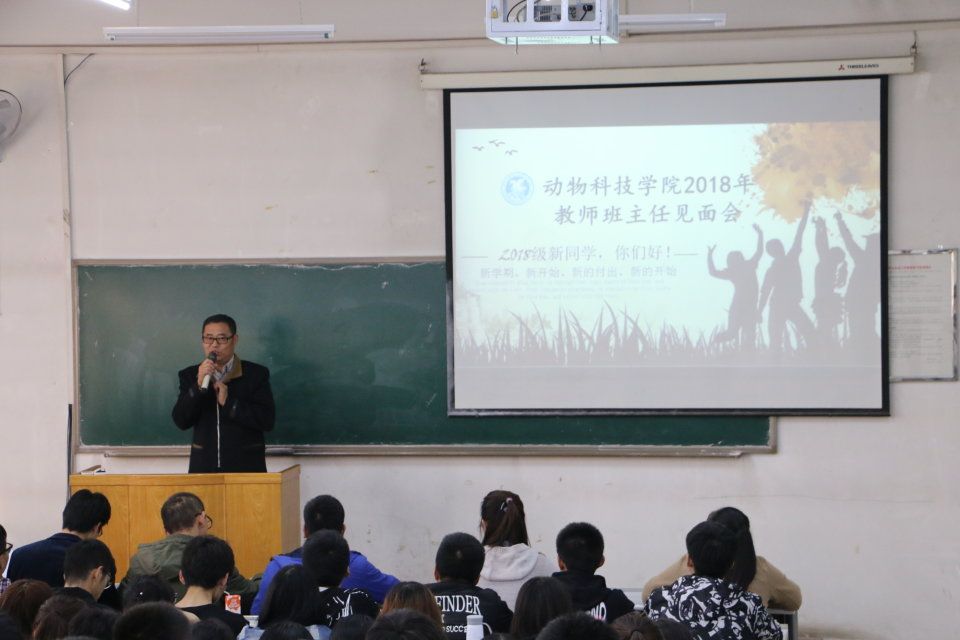 的对接.jpg