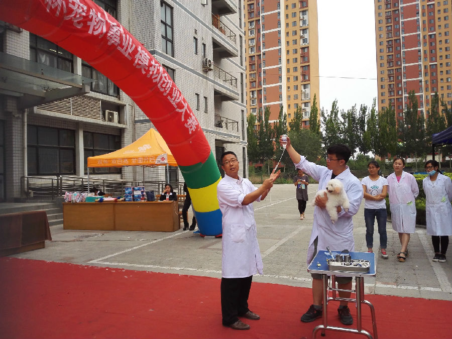 专业教师现场示范.jpg