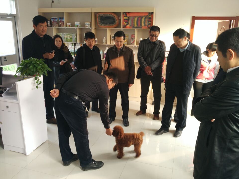 QQ图片20161117101447.jpg